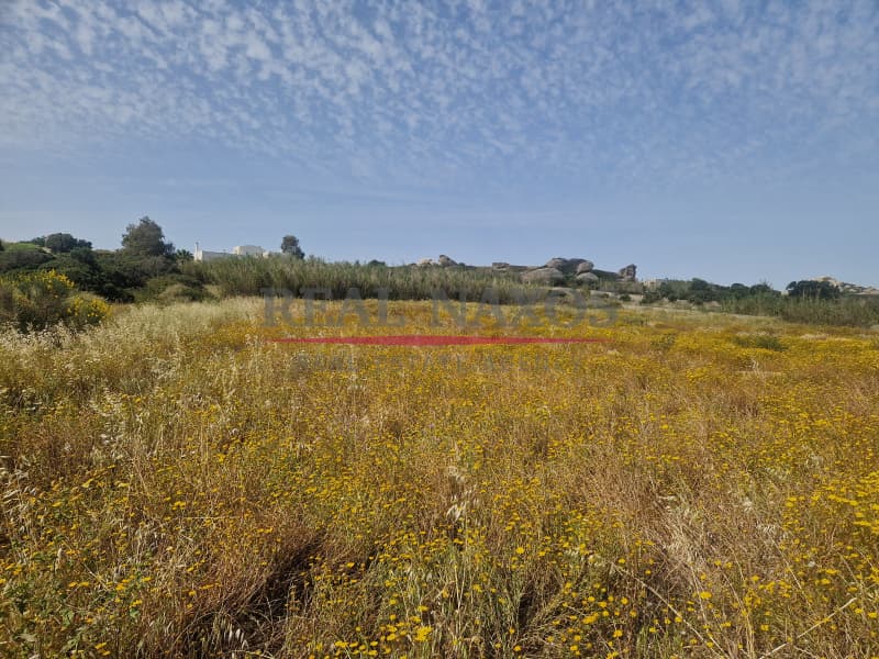 Αγροτεμάχιο στην Άγιος Αρσένιος, Νάξος — Φωτογραφία 16 από 17