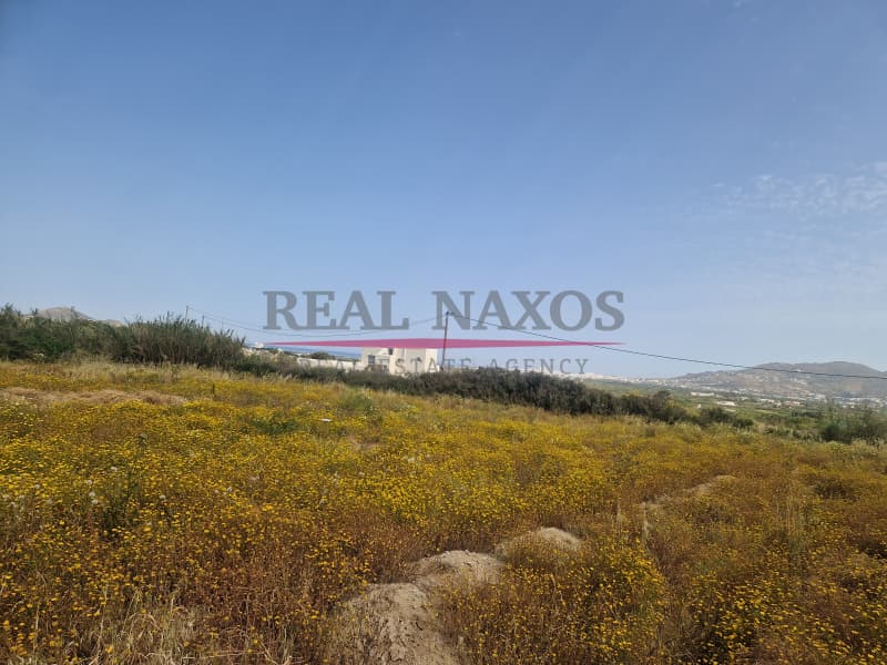 Αγροτεμάχιο στην Άγιος Αρσένιος, Νάξος — Φωτογραφία 14 από 17