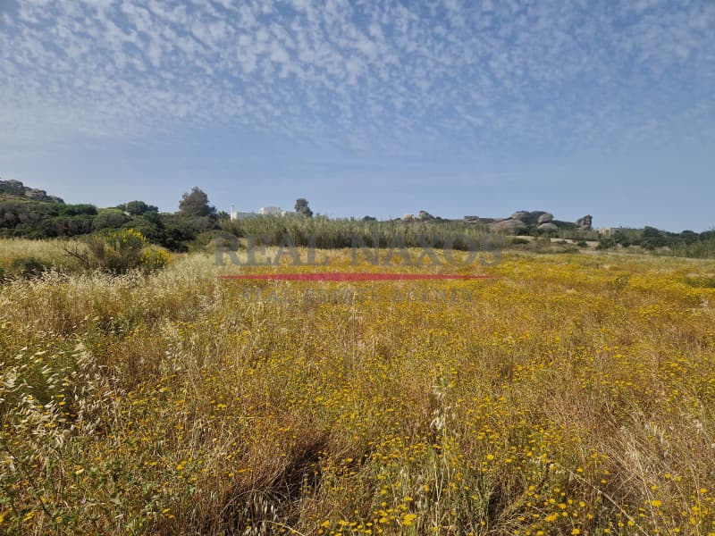 Αγροτεμάχιο στην Άγιος Αρσένιος, Νάξος — Φωτογραφία 1 από 17