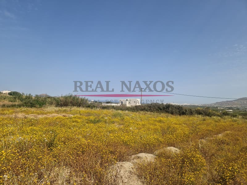 Αγροτεμάχιο στην Άγιος Αρσένιος, Νάξος — Φωτογραφία 7 από 17