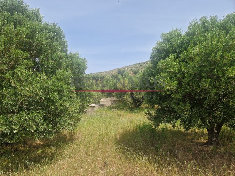 Αγροτεμάχιο στην Ακρωτήρι, Νάξος — Φωτογραφία 6 από 25