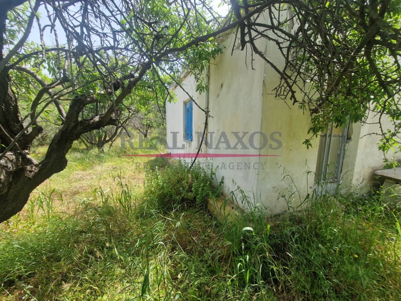Αγροτεμάχιο στην Ακρωτήρι, Νάξος — Φωτογραφία 24 από 25