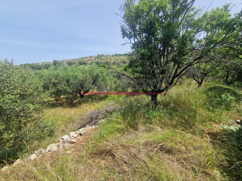 Αγροτεμάχιο στην Ακρωτήρι, Νάξος — Φωτογραφία 14 από 25