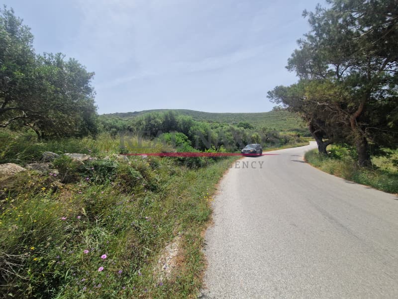 Αγροτεμάχιο στην Ακρωτήρι, Νάξος — Φωτογραφία 10 από 25