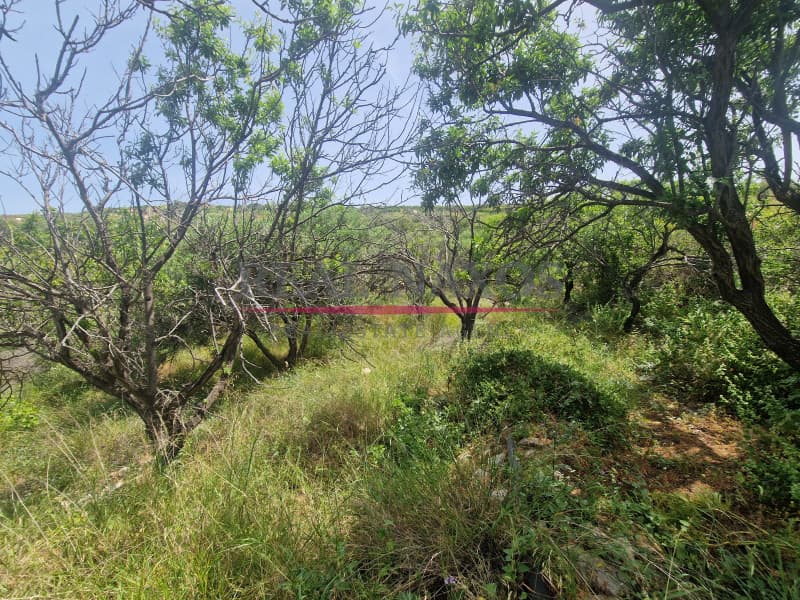 Αγροτεμάχιο στην Ακρωτήρι, Νάξος — Φωτογραφία 12 από 25