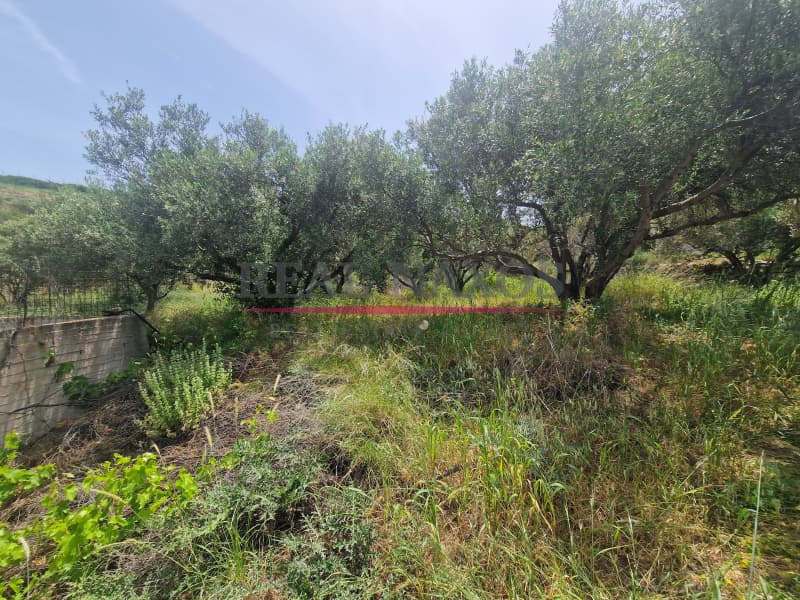 Αγροτεμάχιο στην Ακρωτήρι, Νάξος — Φωτογραφία 21 από 25