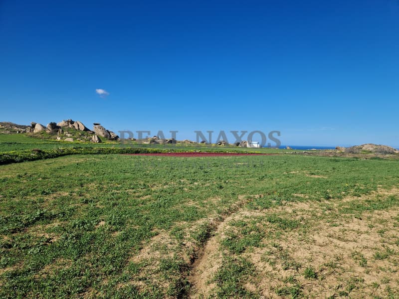 Αγροτεμάχιο στην Πλάκα, Νάξος — Φωτογραφία 5 από 17
