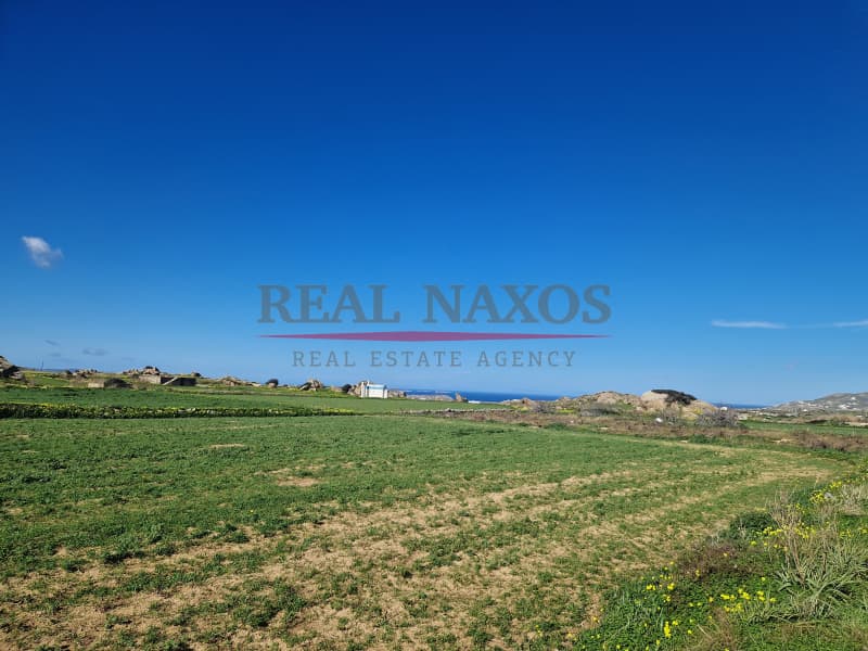 Αγροτεμάχιο στην Πλάκα, Νάξος — Φωτογραφία 2 από 17