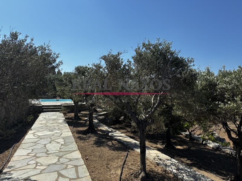 House in Plaka, Naxos — Photo 7 of 30