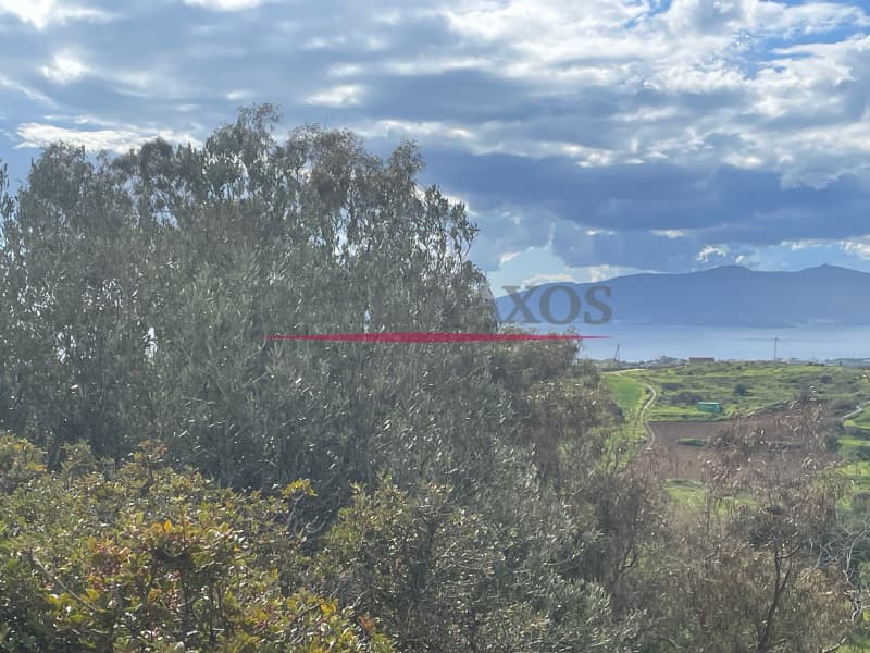 House in Vivlos, Naxos — Photo 9 of 14