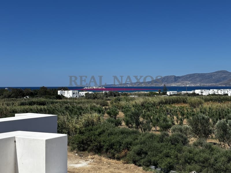 House in Agii Pantes, Naxos — Photo 7 of 26