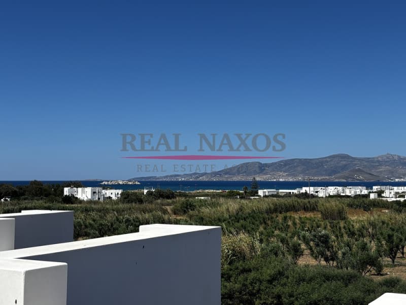 House in Agii Pantes, Naxos — Photo 14 of 26
