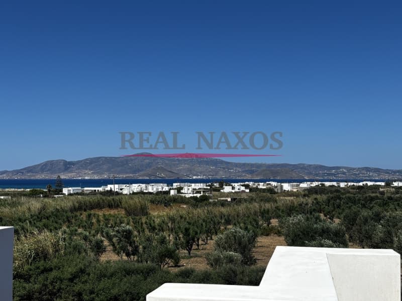 House in Agii Pantes, Naxos — Photo 12 of 26