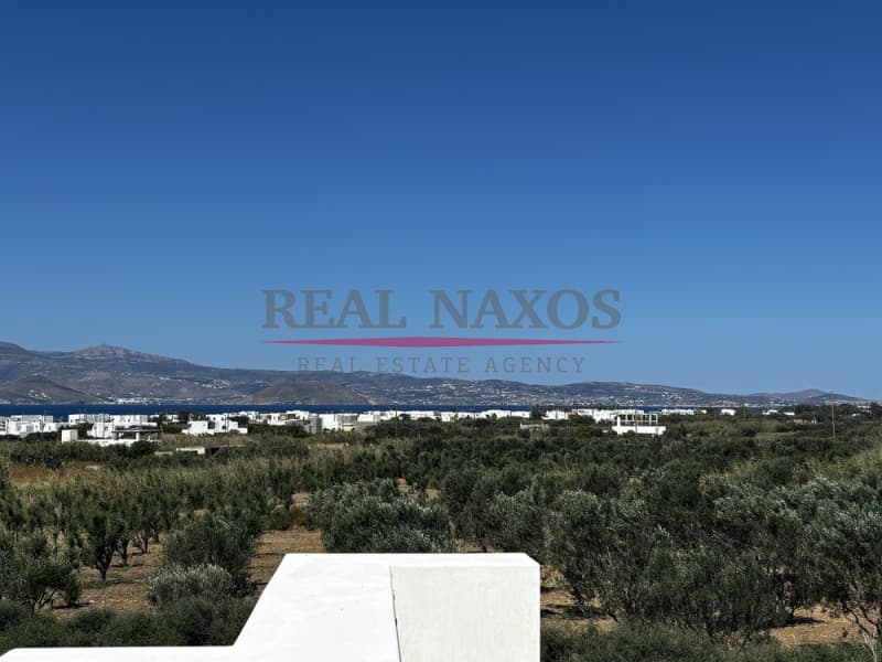 House in Agii Pantes, Naxos — Photo 11 of 26