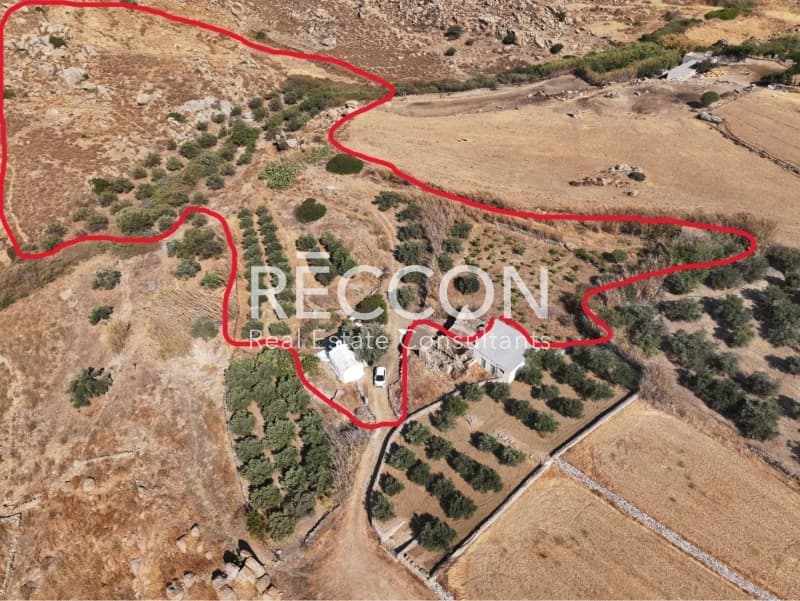 Αγροτεμάχιο στην Άνω Σαγκρί, Νάξος — Φωτογραφία 2 από 7