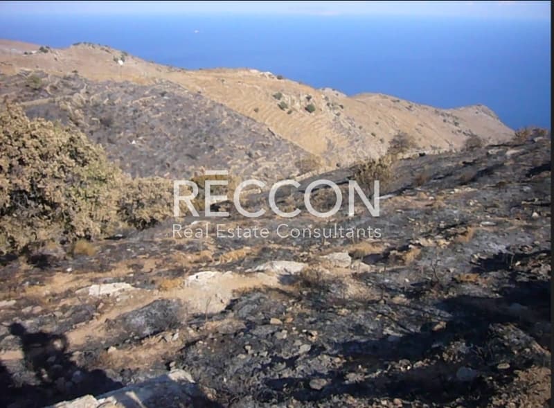 Αγροτεμάχιο στην Ελληνικά, Κέα — Φωτογραφία 1 από 6