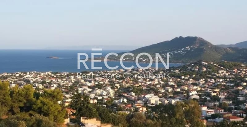 Μονοκατοικία στην Βορινέζα, Αρτέμιδα (Λούτσα) — Φωτογραφία 3 από 3