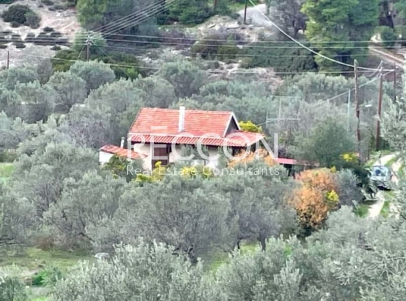 Μονοκατοικία στην Γαλατάκι, Σαρωνικός — Φωτογραφία 1 από 7