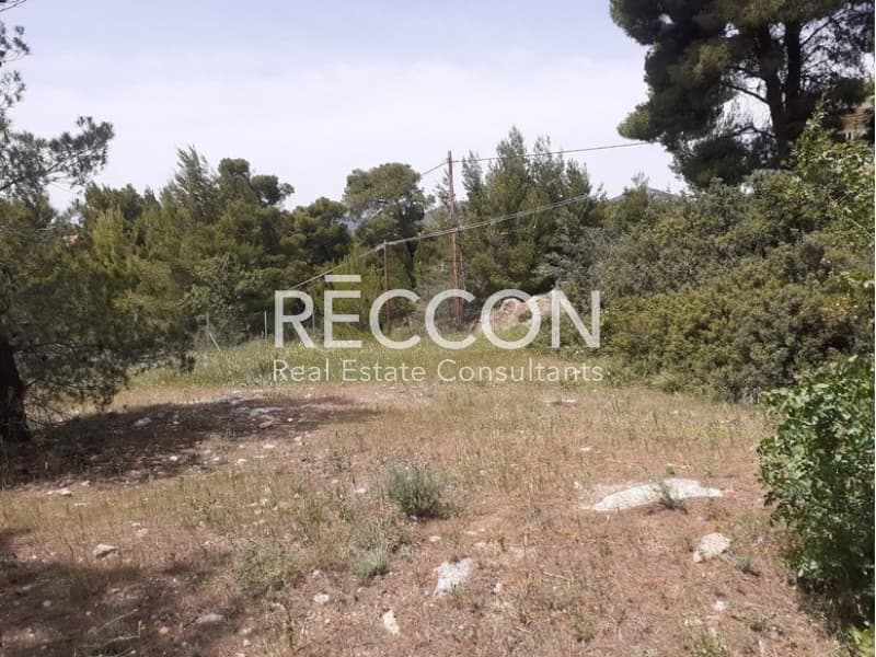 Οικόπεδο στην Διώνη, Πικέρμι — Φωτογραφία 3 από 3