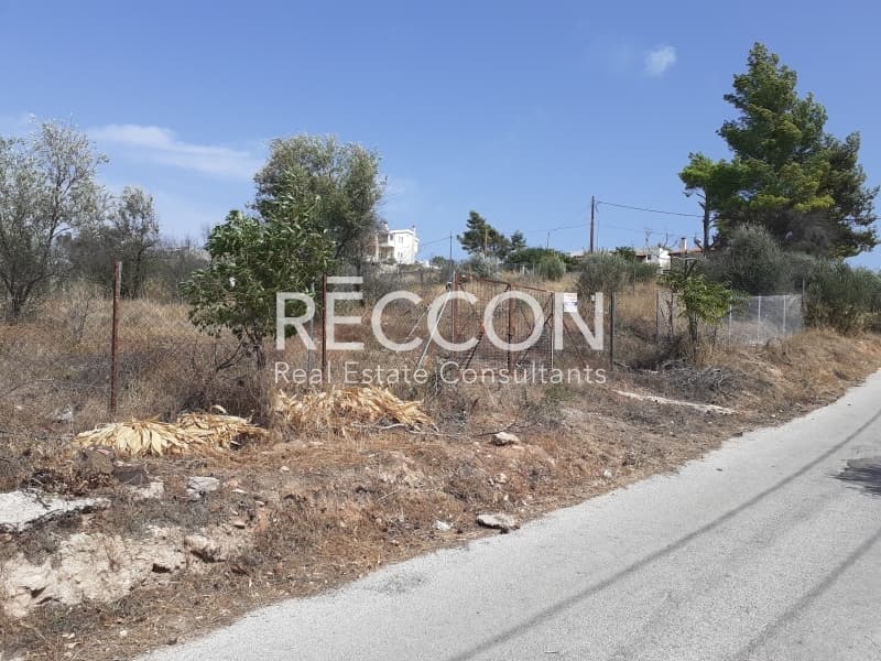 Οικόπεδο στην Περιβολάκια, Ραφήνα — Φωτογραφία 3 από 4