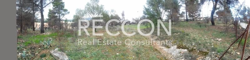 Οικόπεδο στην Περιβολάκια, Ραφήνα — Φωτογραφία 2 από 4