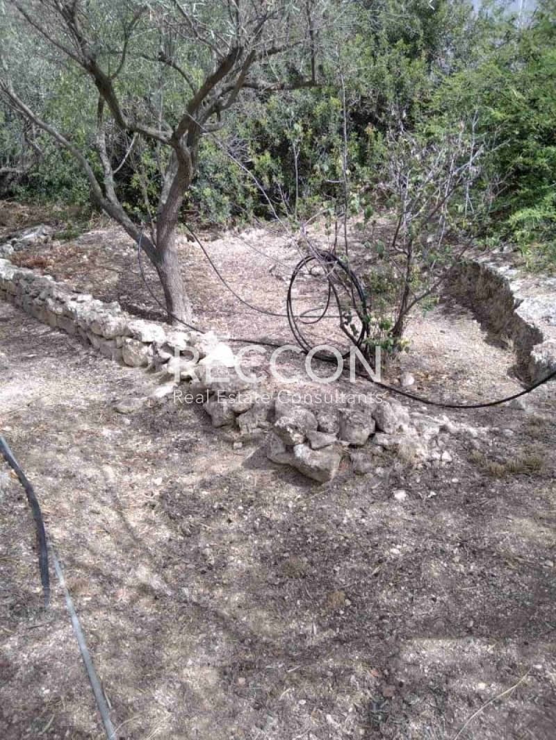 Αγροτεμάχιο στην Σουβάλα, Αίγινα — Φωτογραφία 5 από 16
