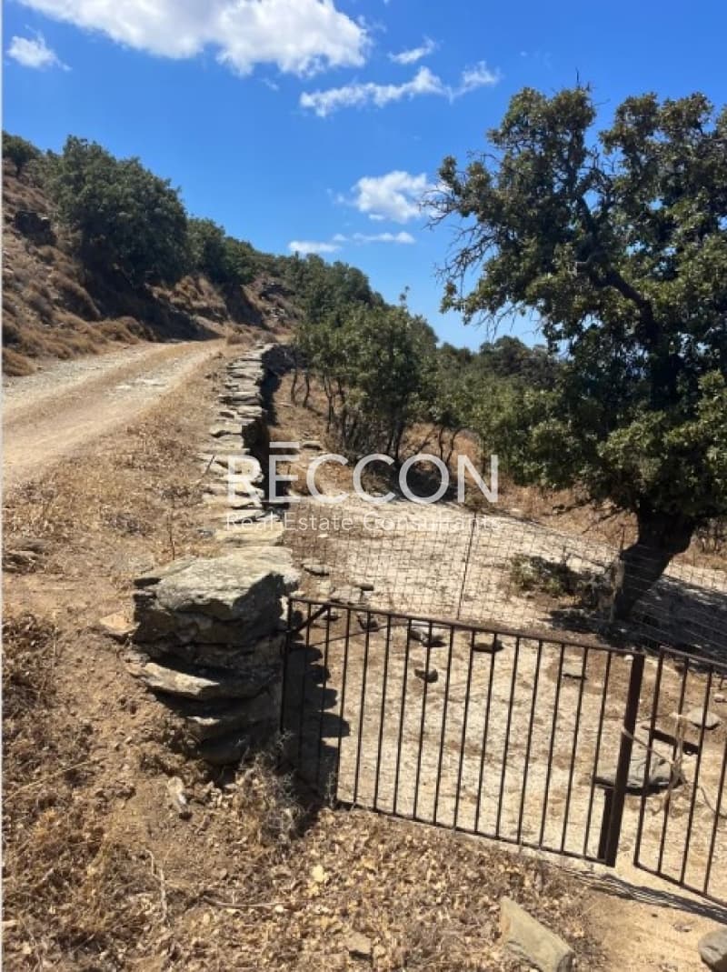 Αγροτεμάχιο στην Χαβουνά, Κέα — Φωτογραφία 3 από 11