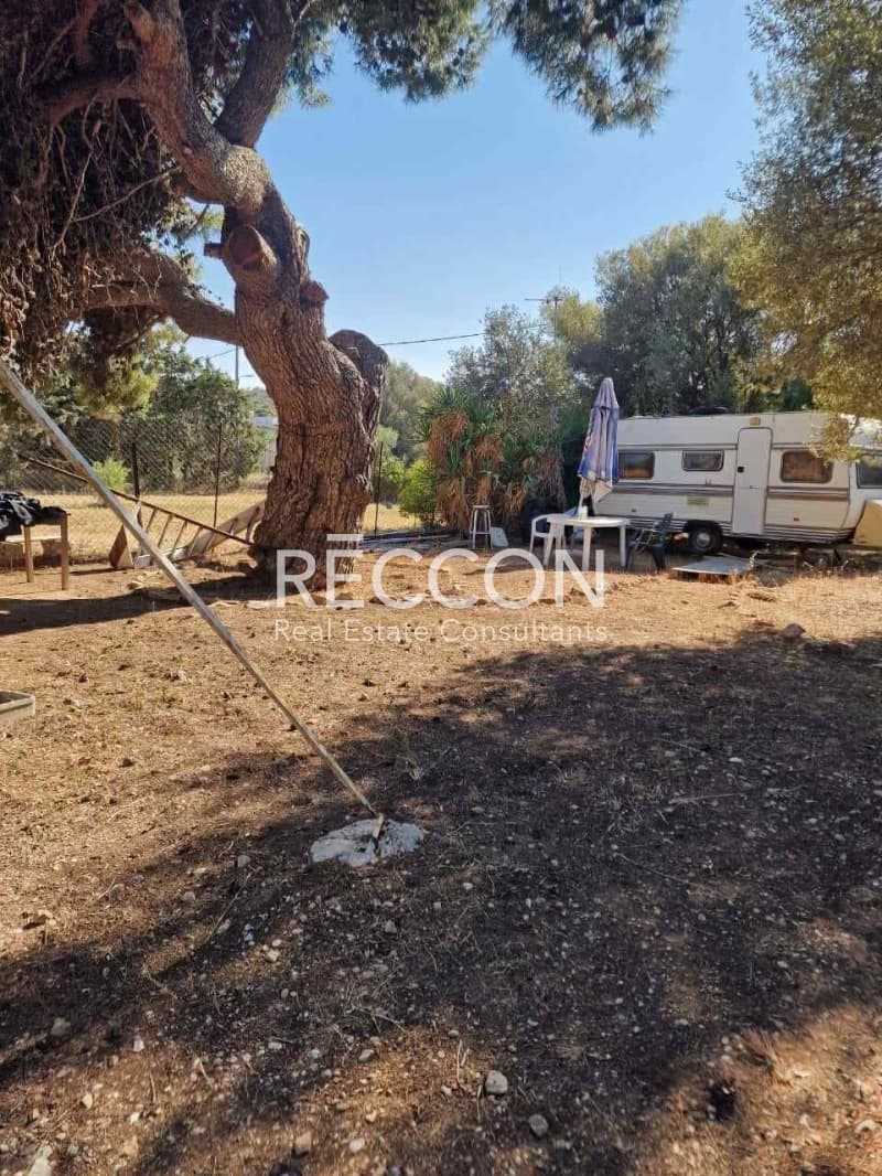 Οικόπεδο στην Άγιος Νικόλαος, Ανάβυσσος — Φωτογραφία 2 από 9