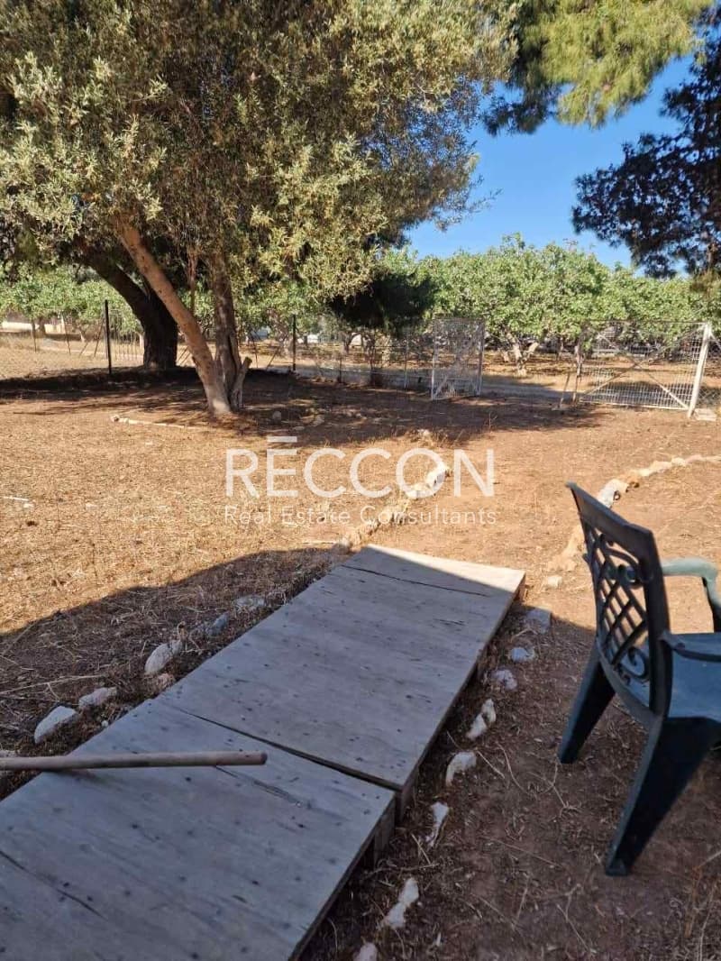 Οικόπεδο στην Άγιος Νικόλαος, Ανάβυσσος — Φωτογραφία 4 από 9