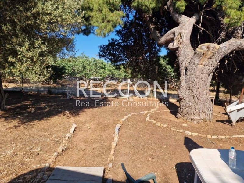Οικόπεδο στην Άγιος Νικόλαος, Ανάβυσσος — Φωτογραφία 6 από 9