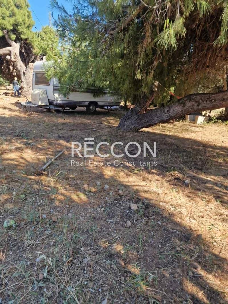 Οικόπεδο στην Άγιος Νικόλαος, Ανάβυσσος — Φωτογραφία 5 από 9