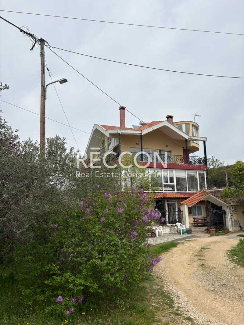 Μονοκατοικία στην Φίλυρο, Πεύκα — Φωτογραφία 4 από 29