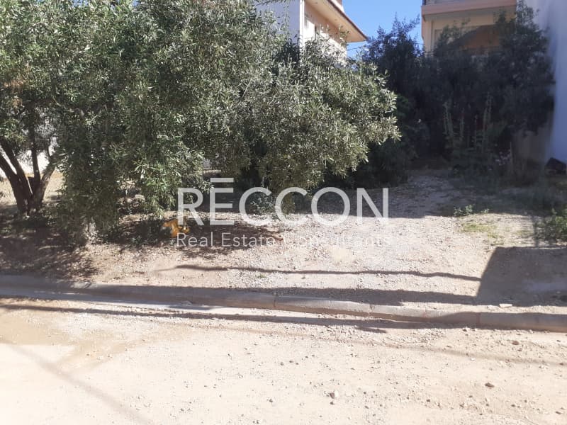 Οικόπεδο στην Γαργηττός, Γέρακας — Φωτογραφία 2 από 13