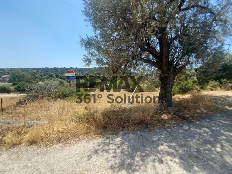 Οικόπεδο στην Πόρτες, Αίγινα — Φωτογραφία 2 από 10