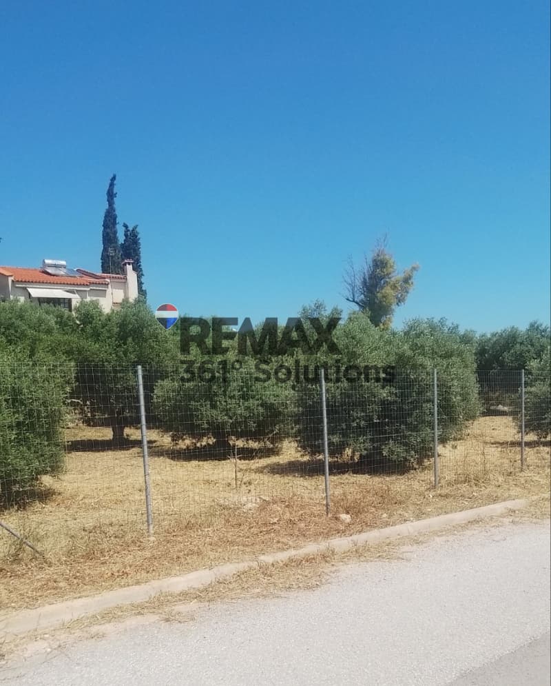 Οικόπεδο στην Κάτω Χαρβάτι, Παλλήνη — Φωτογραφία 4 από 6