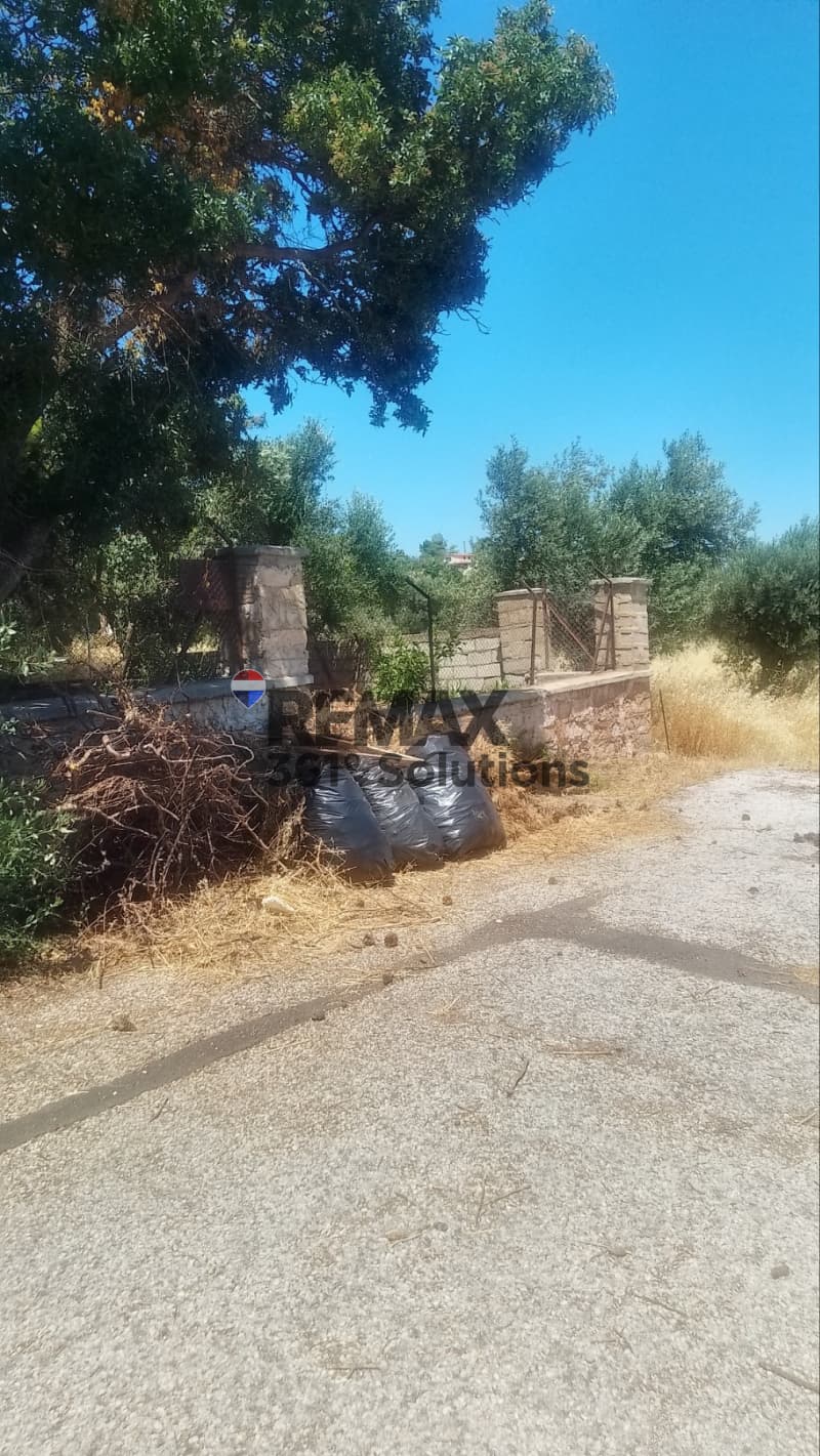 Οικόπεδο στην Μαρίζα, Παλλήνη — Φωτογραφία 5 από 6