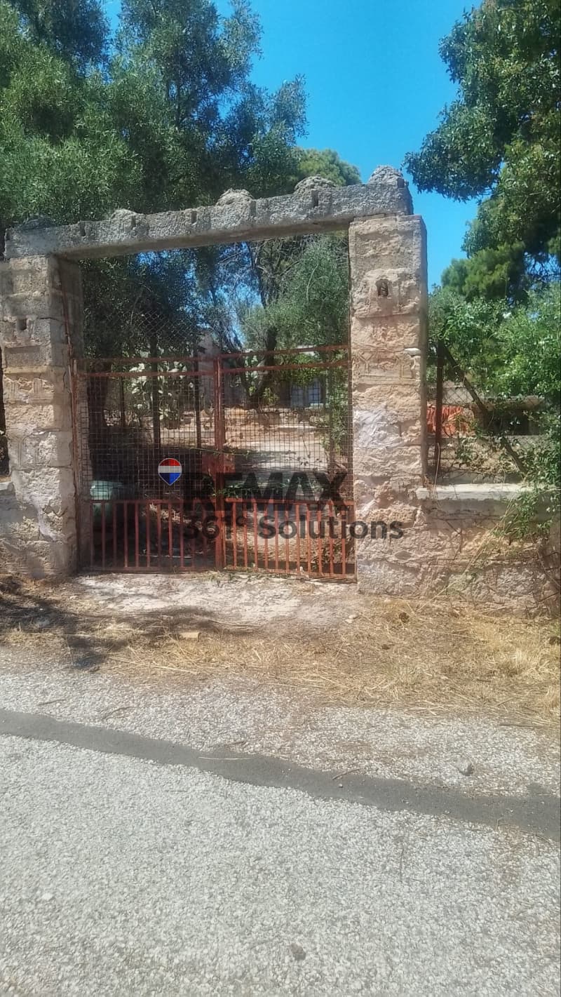 Οικόπεδο στην Μαρίζα, Παλλήνη — Φωτογραφία 1 από 6