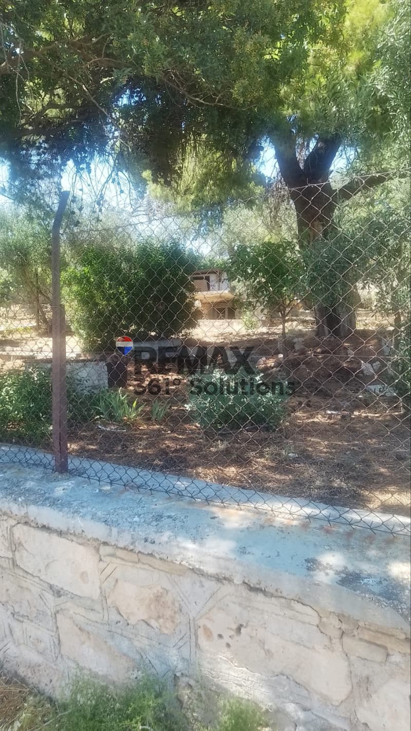 Οικόπεδο στην Μαρίζα, Παλλήνη — Φωτογραφία 3 από 6