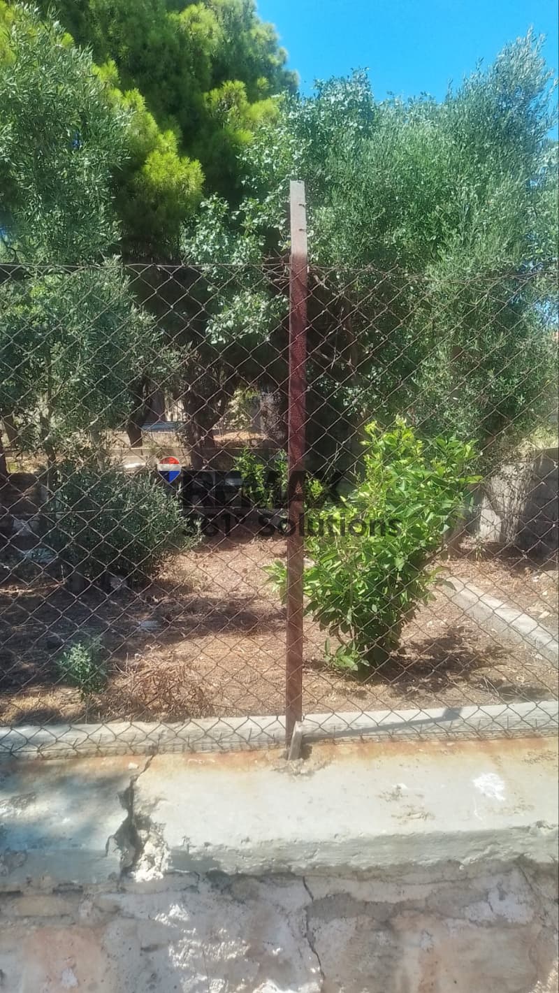 Οικόπεδο στην Μαρίζα, Παλλήνη — Φωτογραφία 4 από 6