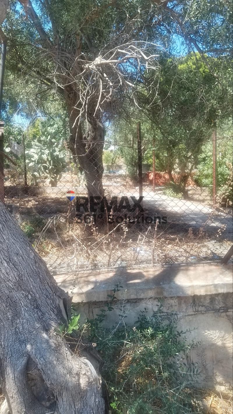 Οικόπεδο στην Μαρίζα, Παλλήνη — Φωτογραφία 6 από 6