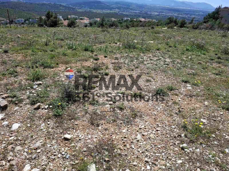 Οικόπεδο στην Δασαμάρι, Πικέρμι — Φωτογραφία 2 από 4