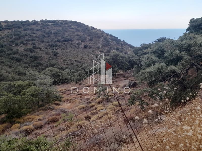 Αγροτεμάχιο στην Αγία Μαύρα, Κέα — Φωτογραφία 5 από 18
