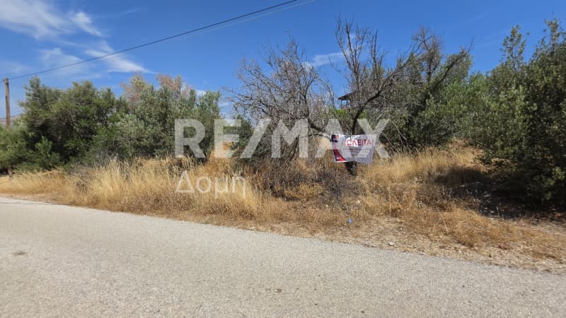 Parcel in Anavyssos Center, Anavissos — Photo 3 of 6