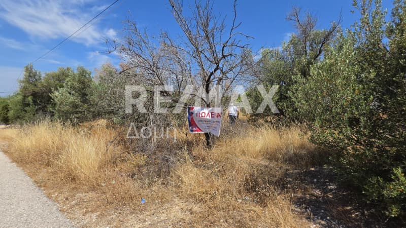 Parcel in Anavyssos Center, Anavissos — Photo 1 of 6