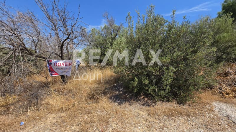 Parcel in Anavyssos Center, Anavissos — Photo 2 of 6