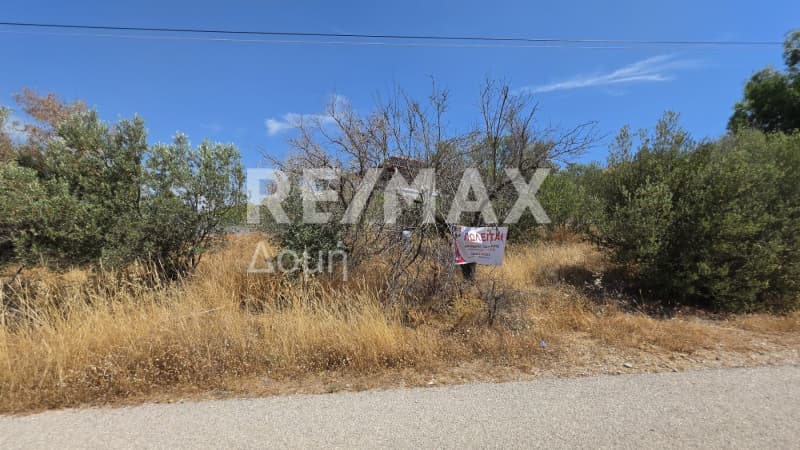 Parcel in Anavyssos Center, Anavissos — Photo 4 of 6