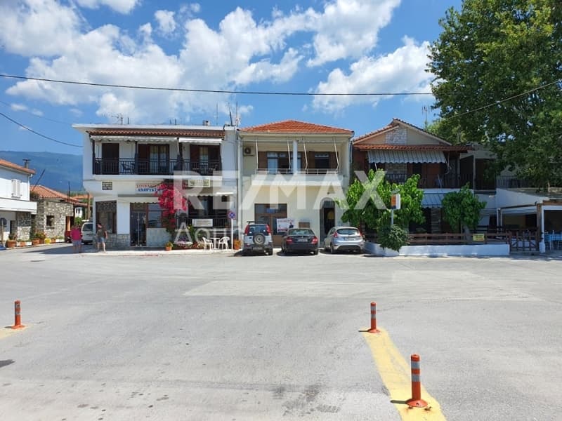 Κατάστημα στην Πλατανίδια, Αγριά — Φωτογραφία 1 από 20