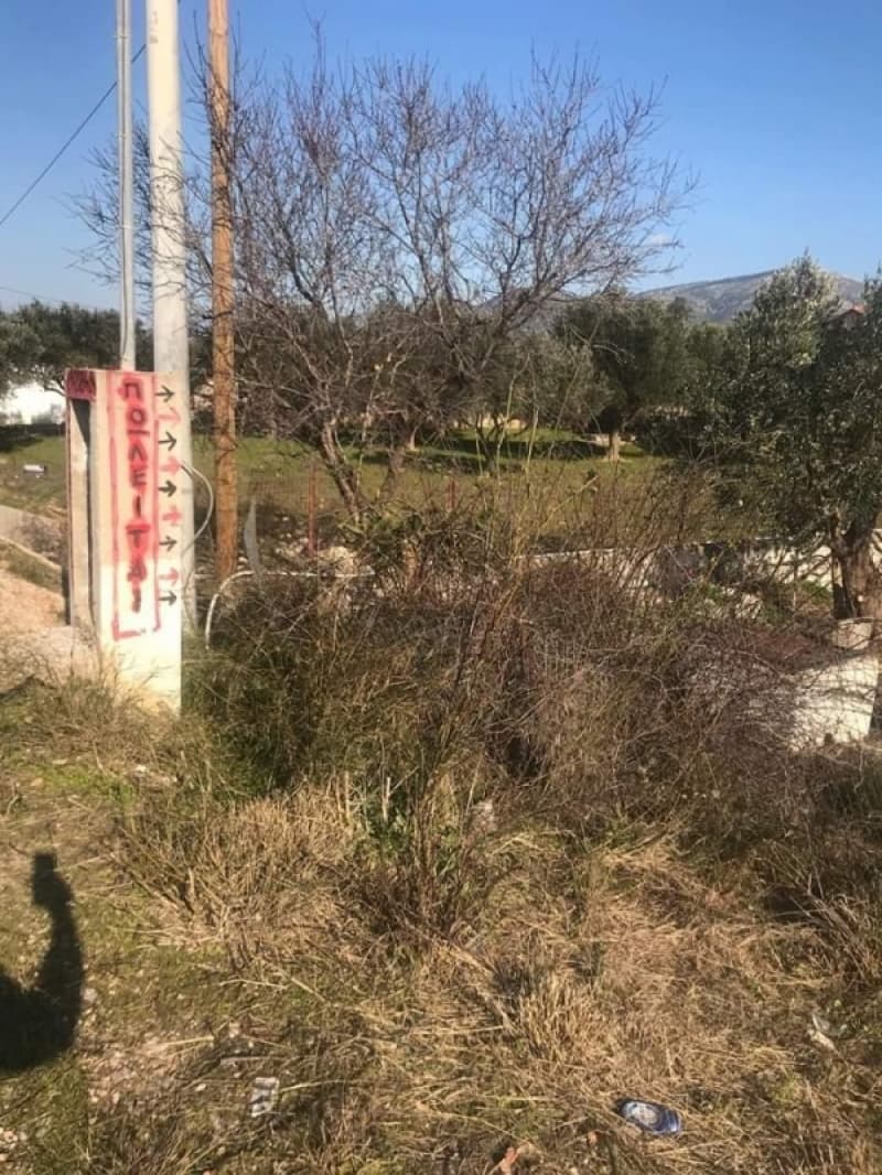 Αγροτεμάχιο στην Καλύβια, Καλύβια Θορικού — Φωτογραφία 8 από 8