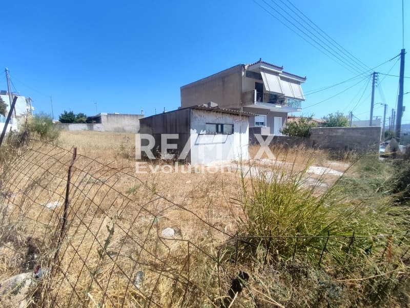 Οικόπεδο στην Νεάπολη, Σπάτα — Φωτογραφία 3 από 5