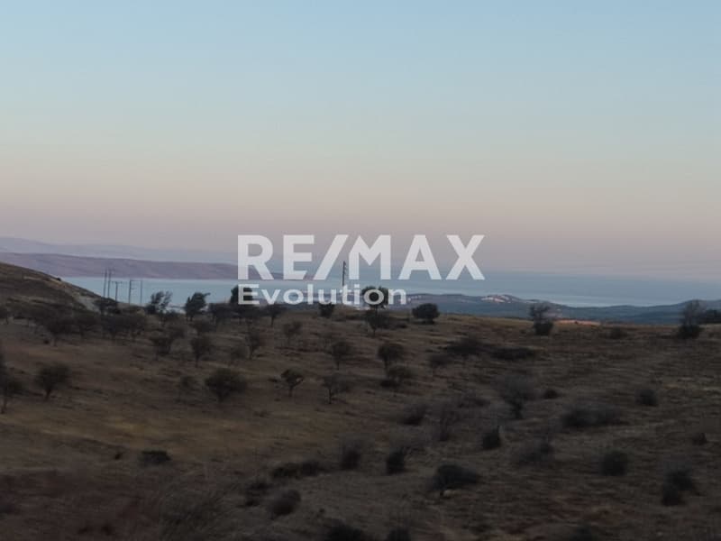 Αγροτεμάχιο στην Ριμπάρι, Κερατέα — Φωτογραφία 2 από 10